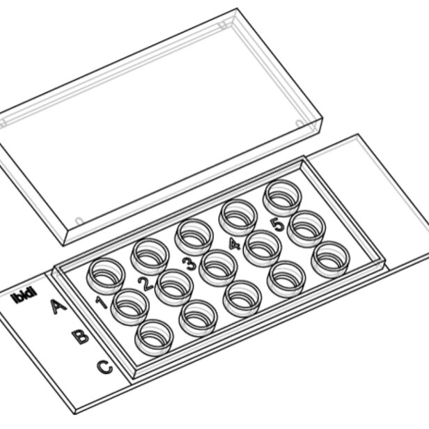 Ibidi 15 well slide drawing 2