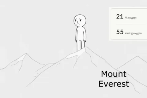 Everest 4 thumb