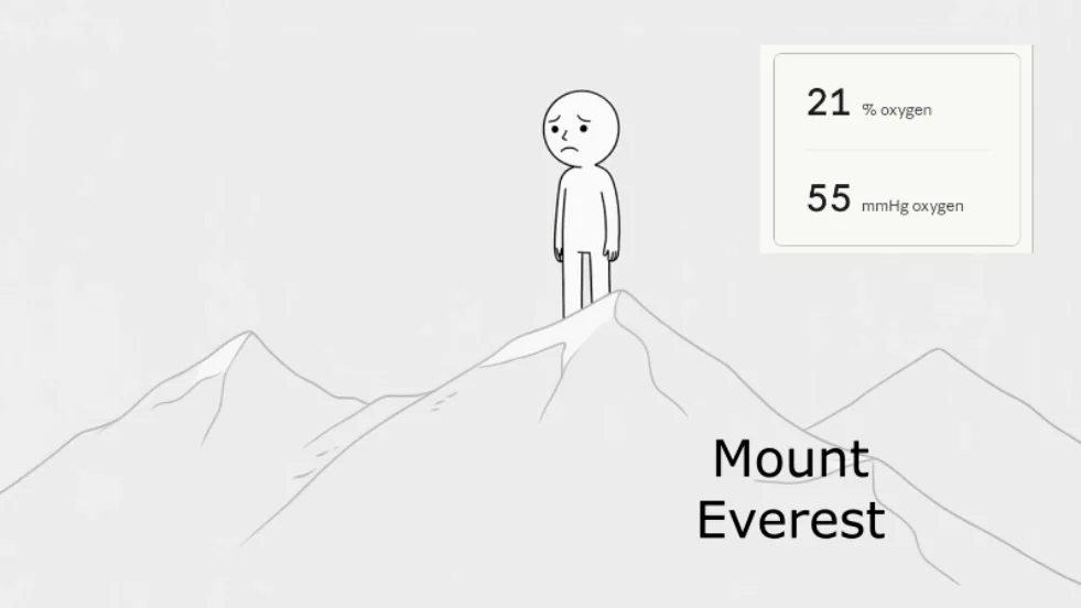 HypoxyLab is the only workstation that compensates for the fact that (unlike the proportion of oxygen in air), the partial pressure of oxygen varies with altitude and meteorological conditions!