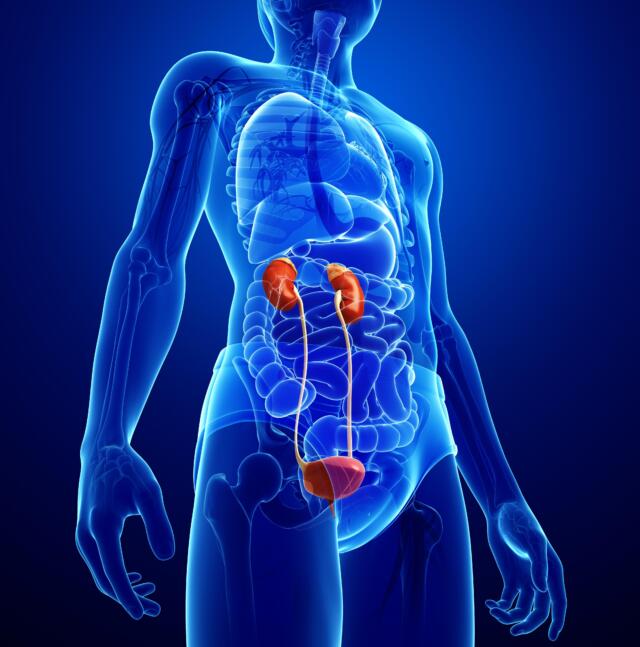 A novel device for detecting Acute Kidney Injury (AKI) in patients
